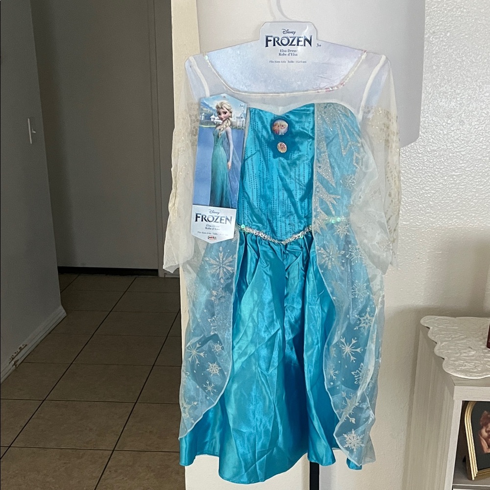 Disney Frozen Elsa Teal Blue Princess Costume with Snow Cape